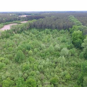 Photo of SOLD!  12.5 Acres of Hunting and Timber Land For Sale in Hertford County NC!