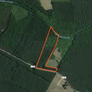 Photo of SOLD!  12.5 Acres of Hunting and Timber Land For Sale in Hertford County NC!