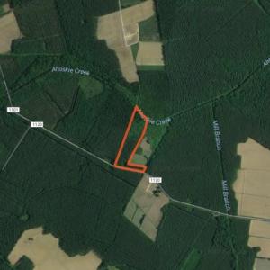 Photo of SOLD!  12.5 Acres of Hunting and Timber Land For Sale in Hertford County NC!