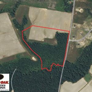 Photo of UNDER CONTRACT!  20 Acres of Hunting and Farm Land For Sale in Southampton County VA!