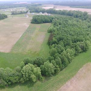 Photo of UNDER CONTRACT!  20 Acres of Hunting and Farm Land For Sale in Southampton County VA!