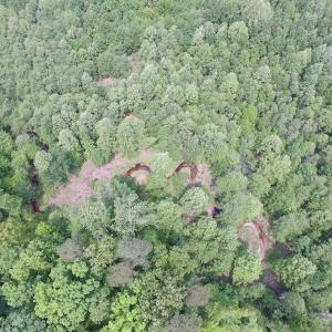 Photo of UNDER CONTRACT!  20 Acres of Hunting and Farm Land For Sale in Southampton County VA!
