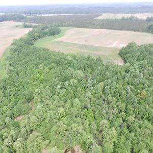 Photo of UNDER CONTRACT!  20 Acres of Hunting and Farm Land For Sale in Southampton County VA!