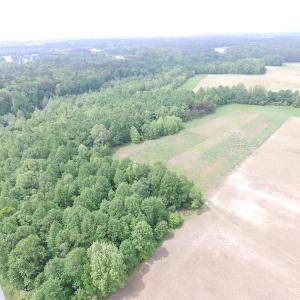 Photo of UNDER CONTRACT!  20 Acres of Hunting and Farm Land For Sale in Southampton County VA!