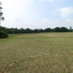 Photo of UNDER CONTRACT!  20 Acres of Hunting and Farm Land For Sale in Southampton County VA!