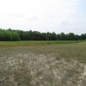 Photo of UNDER CONTRACT!  20 Acres of Hunting and Farm Land For Sale in Southampton County VA!