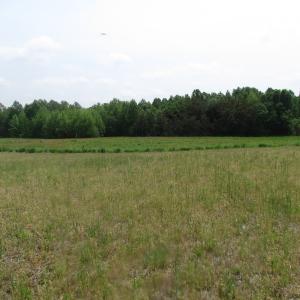 Photo of UNDER CONTRACT!  20 Acres of Hunting and Farm Land For Sale in Southampton County VA!