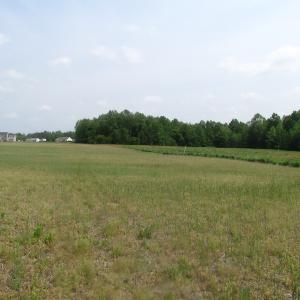 Photo of UNDER CONTRACT!  20 Acres of Hunting and Farm Land For Sale in Southampton County VA!