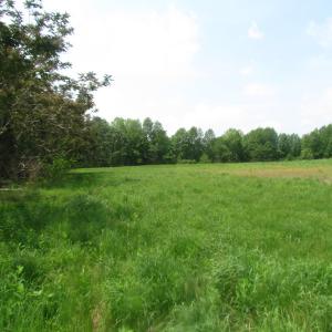 Photo of UNDER CONTRACT!  20 Acres of Hunting and Farm Land For Sale in Southampton County VA!