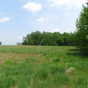 Photo of UNDER CONTRACT!  20 Acres of Hunting and Farm Land For Sale in Southampton County VA!
