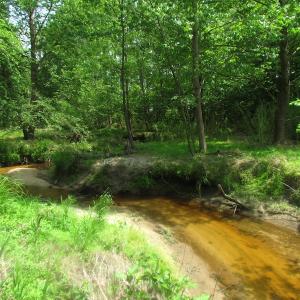 Photo of UNDER CONTRACT!  20 Acres of Hunting and Farm Land For Sale in Southampton County VA!
