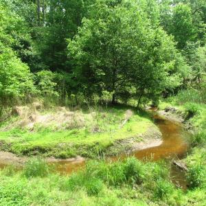 Photo of UNDER CONTRACT!  20 Acres of Hunting and Farm Land For Sale in Southampton County VA!
