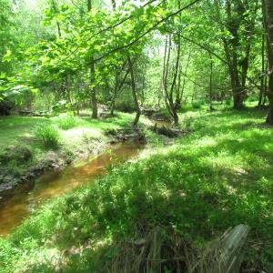 Photo of UNDER CONTRACT!  20 Acres of Hunting and Farm Land For Sale in Southampton County VA!