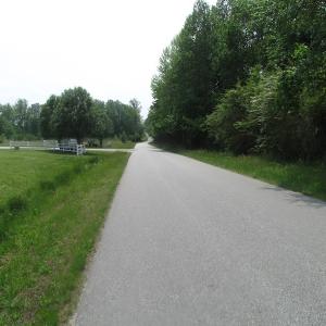 Photo of UNDER CONTRACT!  20 Acres of Hunting and Farm Land For Sale in Southampton County VA!