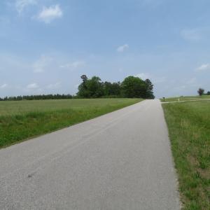 Photo of UNDER CONTRACT!  20 Acres of Hunting and Farm Land For Sale in Southampton County VA!