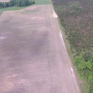 Photo of UNDER CONTRACT!  4.29 Acres of Farm Land For Sale in Southampton County VA!