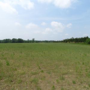 Photo of UNDER CONTRACT!  4.29 Acres of Farm Land For Sale in Southampton County VA!