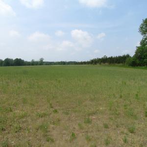 Photo of UNDER CONTRACT!  4.29 Acres of Farm Land For Sale in Southampton County VA!