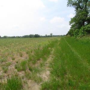 Photo of UNDER CONTRACT!  4.29 Acres of Farm Land For Sale in Southampton County VA!