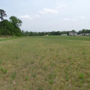 Photo of UNDER CONTRACT!  4.29 Acres of Farm Land For Sale in Southampton County VA!