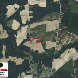 Photo of UNDER CONTRACT!  11 Acres of Farm Land For Sale in Southampton County VA!