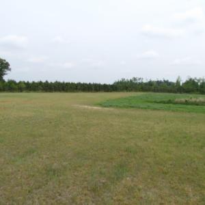 Photo of UNDER CONTRACT!  11 Acres of Farm Land For Sale in Southampton County VA!
