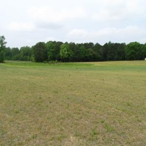 Photo of UNDER CONTRACT!  11 Acres of Farm Land For Sale in Southampton County VA!