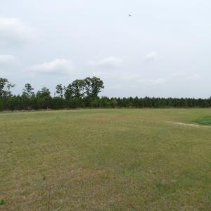 Photo of UNDER CONTRACT!  11 Acres of Farm Land For Sale in Southampton County VA!
