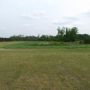 Photo of UNDER CONTRACT!  11 Acres of Farm Land For Sale in Southampton County VA!