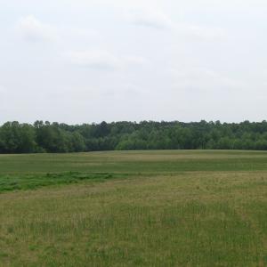 Photo of UNDER CONTRACT!  11 Acres of Farm Land For Sale in Southampton County VA!