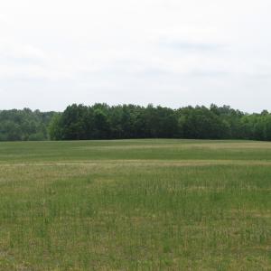Photo of UNDER CONTRACT!  11 Acres of Farm Land For Sale in Southampton County VA!