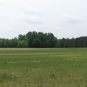 Photo of UNDER CONTRACT!  11 Acres of Farm Land For Sale in Southampton County VA!