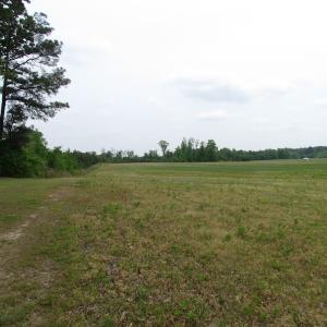 Photo of UNDER CONTRACT!  11 Acres of Farm Land For Sale in Southampton County VA!