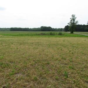 Photo of UNDER CONTRACT!  11 Acres of Farm Land For Sale in Southampton County VA!