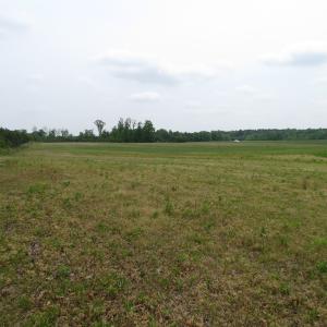 Photo of UNDER CONTRACT!  11 Acres of Farm Land For Sale in Southampton County VA!