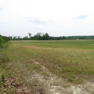 Photo of UNDER CONTRACT!  11 Acres of Farm Land For Sale in Southampton County VA!