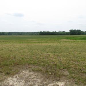 Photo of UNDER CONTRACT!  11 Acres of Farm Land For Sale in Southampton County VA!