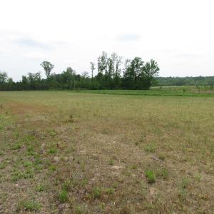 Photo of UNDER CONTRACT!  11 Acres of Farm Land For Sale in Southampton County VA!