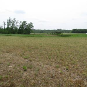 Photo of UNDER CONTRACT!  11 Acres of Farm Land For Sale in Southampton County VA!