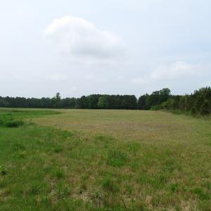 Photo of UNDER CONTRACT!  11 Acres of Farm Land For Sale in Southampton County VA!
