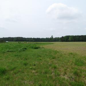 Photo of UNDER CONTRACT!  11 Acres of Farm Land For Sale in Southampton County VA!