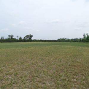 Photo of UNDER CONTRACT!  11 Acres of Farm Land For Sale in Southampton County VA!