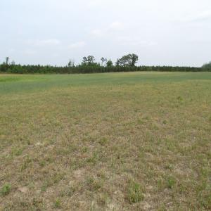 Photo of UNDER CONTRACT!  11 Acres of Farm Land For Sale in Southampton County VA!