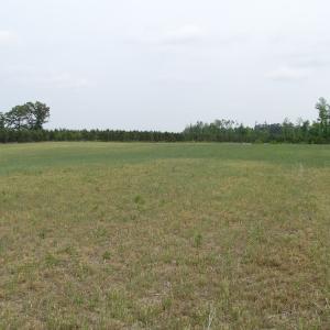 Photo of UNDER CONTRACT!  11 Acres of Farm Land For Sale in Southampton County VA!