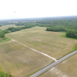 Photo of UNDER CONTRACT!  17 Acres of Farm Land For Sale in Southampton County VA!