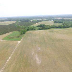 Photo of UNDER CONTRACT!  17 Acres of Farm Land For Sale in Southampton County VA!