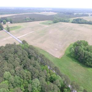 Photo of UNDER CONTRACT!  17 Acres of Farm Land For Sale in Southampton County VA!