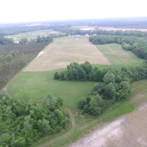 Photo of UNDER CONTRACT!  17 Acres of Farm Land For Sale in Southampton County VA!