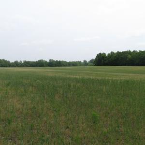 Photo of UNDER CONTRACT!  17 Acres of Farm Land For Sale in Southampton County VA!
