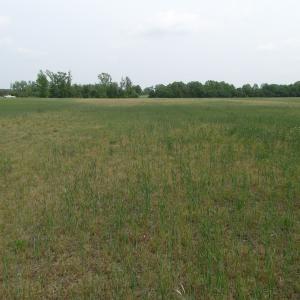 Photo of UNDER CONTRACT!  17 Acres of Farm Land For Sale in Southampton County VA!